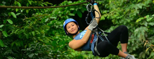 Rainforest Zip-Line Tour