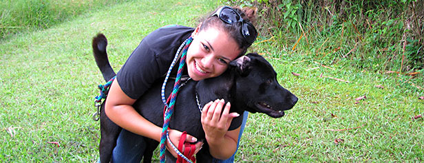 Volunteer with Animals